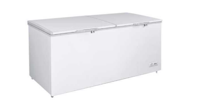 EXF - 650 Enhanced 76" 2 Solid Door Chest Freezer - Enhanced Freezers - Enhanced Equipment